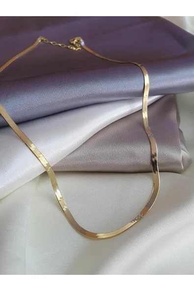 esisjewel 925 Ayar Gümüş Italyan Yassı Zincir Kolye 45 Cm - Resim 4