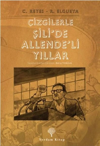 Çizgilerle Şilide Allendeli Yıllar ürün görseli