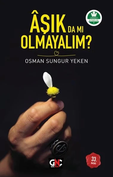 Aşık da mı Olmayalım? ürün görseli