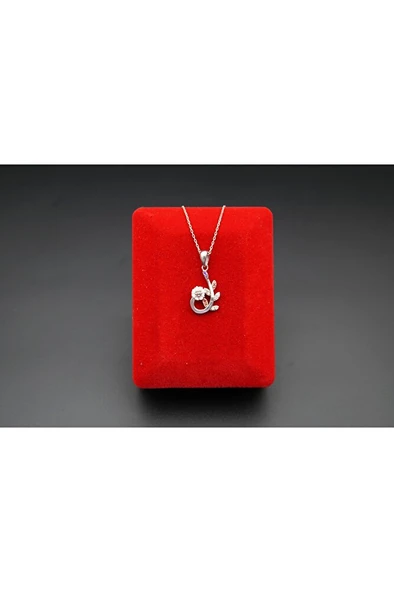 925 ayar gümüş yaprak desen kadın kolye sk00069 ürün görseli 1