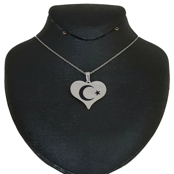 Sembole Özel Gümüş Renkli Zincirli 925 Ayar Gümüş Plakalı Kalp Figürlü Hediyelik Kolye-456 - 2