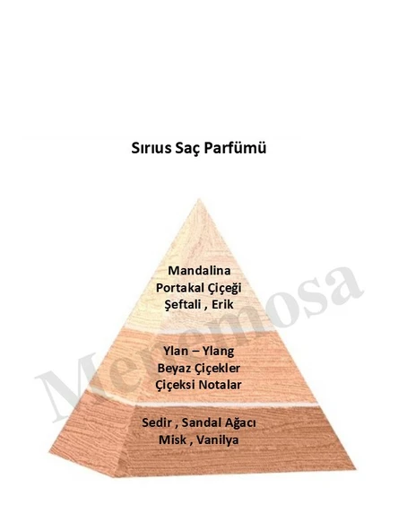 Sırıus  Kadın Saç Parfümü Floral 150 ml Edt - Mnms150srssp - Resim 2