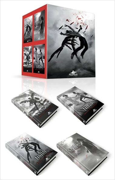 Hush Hush Serisi Seti (4 Kitap) ürün görseli