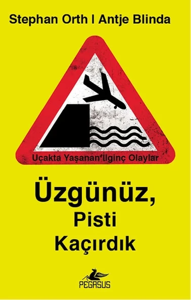 Üzgünüz, Pisti Kaçırdık ürün görseli