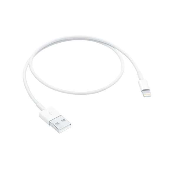 Apple Lightning To Usb Cable (0.5 M) - 1