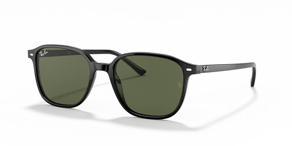 Ray-Ban Leonard 2193 901/31 Black-Green Güneş Gözlüğü ürün görseli