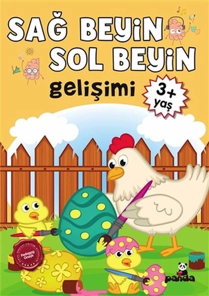 3 Yaş Sağ Beyin-Sol Beyin Gelişimi ürün görseli 1