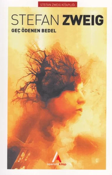 Geç Ödenen Bedel ürün görseli