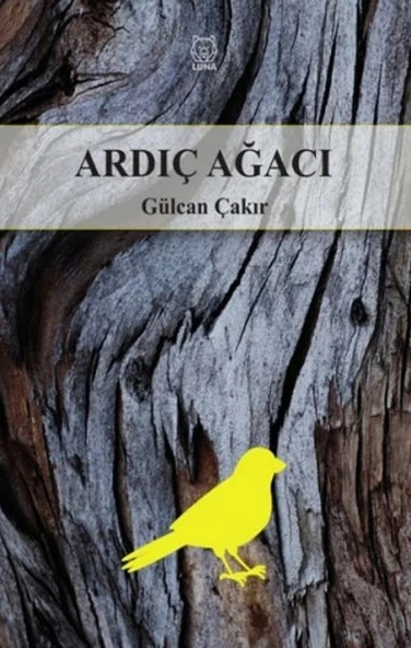 Ardıç Ağacı ürün görseli