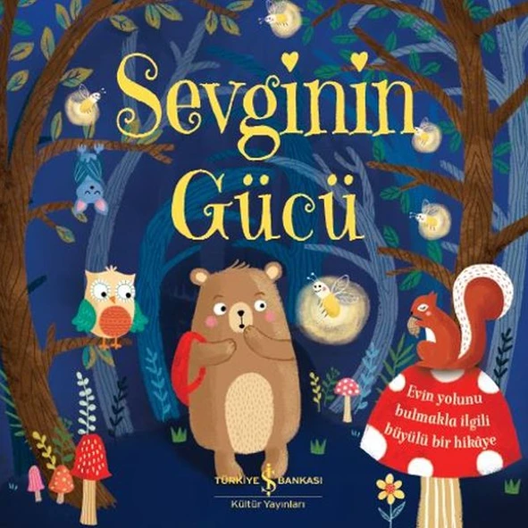 Sevginin Gücü ürün görseli