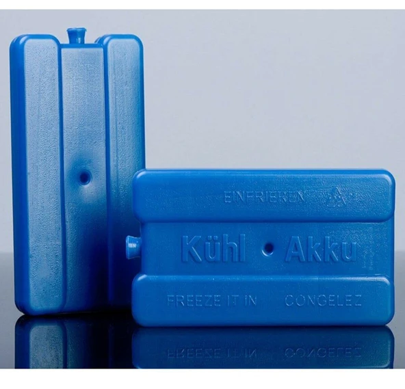 Termos Çanta - Piknik Çantası Buz Aküsü Hediyeli 40LT - 2