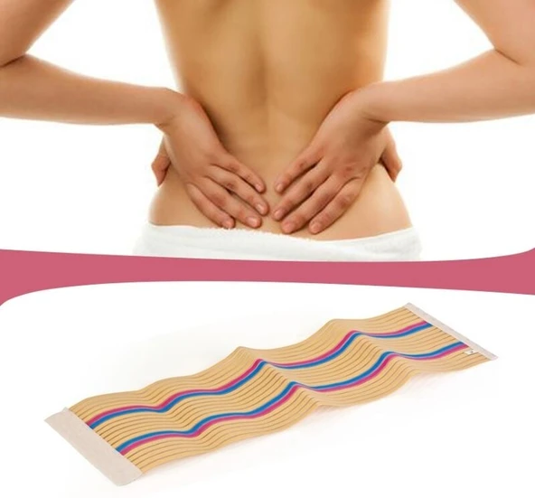 Waist Trimmer Renkli - XL EVV-5964 - Resim 2