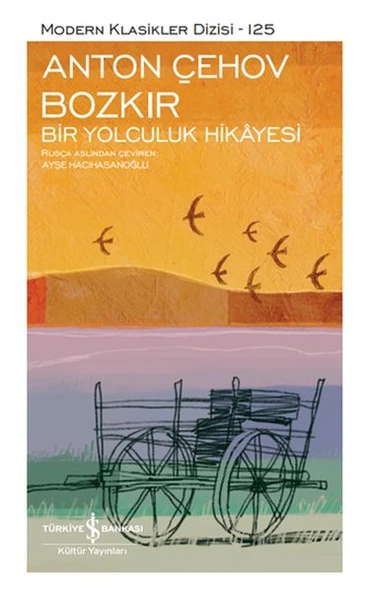 Bozkır Bir Yolculuk Hikayesi - Modern Klasikler Dizisi (Şömizli) ürün görseli