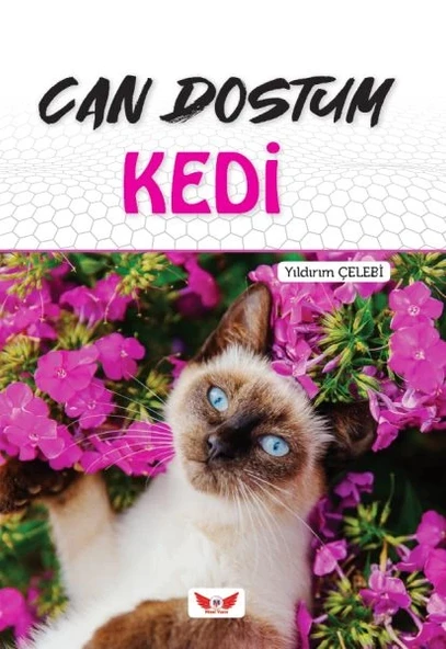 Can Dostum Kedi ürün görseli