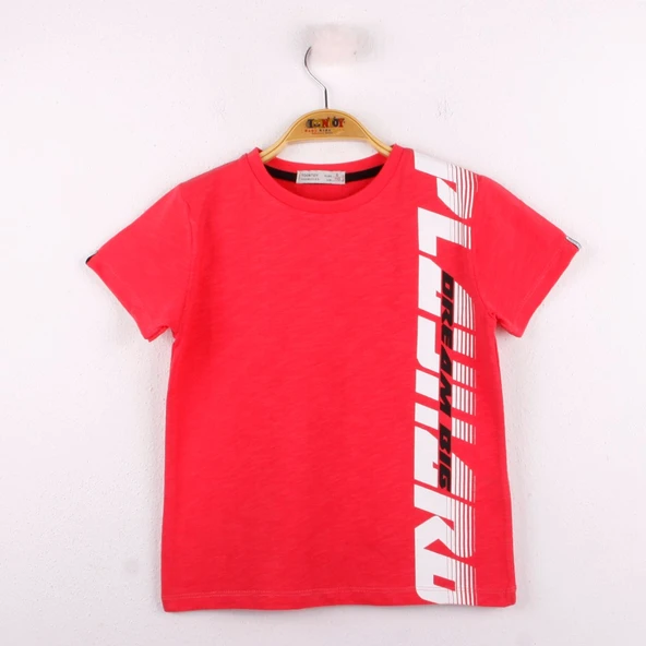 Toontoy Erkek Çocuk Playhard Baskılı Tişört - 4