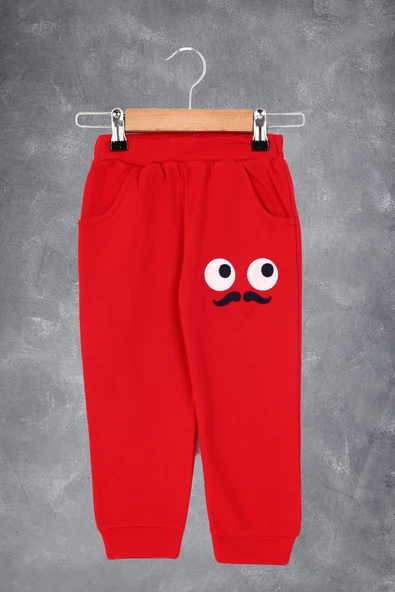 Toontoy Erkek Çocuk İki Yanı Cepli Nakışlı Eşofman Alt - Resim 2