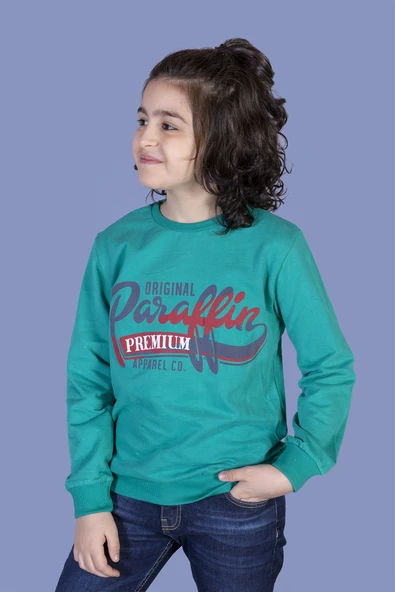 Toontoy Erkek Çocuk Premium Baskılı Sweatshirt - Resim 4
