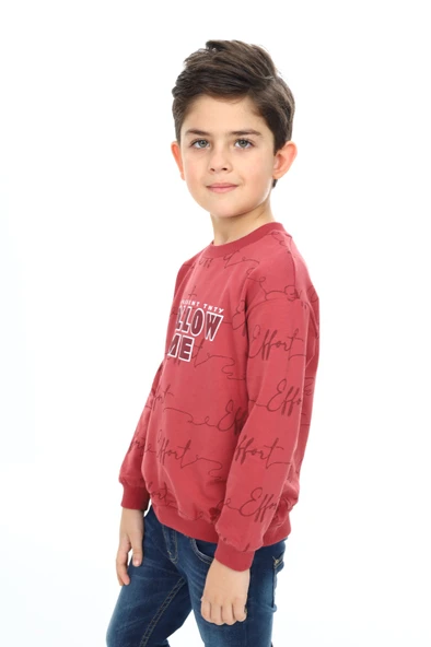 Toontoy Erkek Çocuk Follow Me Baskılı Sweatshirt - Resim 9