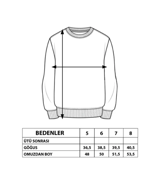 Toontoy Erkek Çocuk Premium Baskılı Sweatshirt - Resim 7