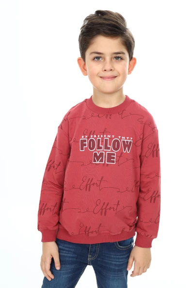 Toontoy Erkek Çocuk Follow Me Baskılı Sweatshirt - Resim 5