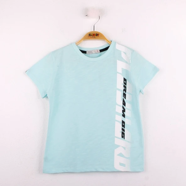 Toontoy Erkek Çocuk Playhard Baskılı Tişört - 6