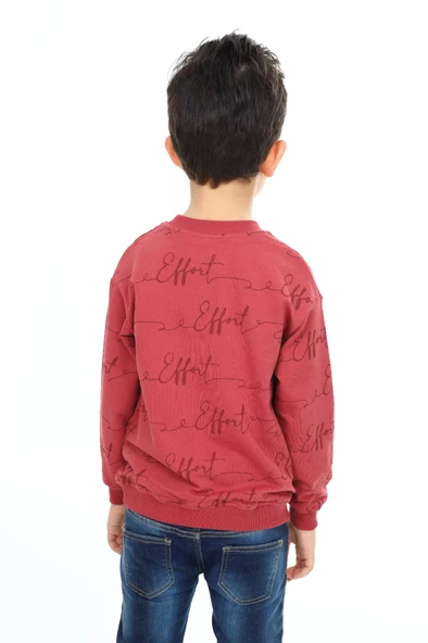 Toontoy Erkek Çocuk Follow Me Baskılı Sweatshirt - Resim 8