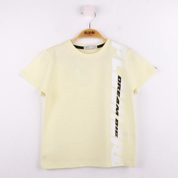 Toontoy Erkek Çocuk Playhard Baskılı Tişört - 3