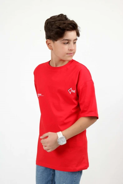 Toontoy Erkek Çocuk The Baskılı Tişört - Resim 5