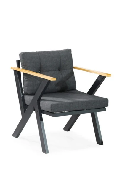 Dekoroom's Zeta Tekli Metal Koltuk Berjer Düz Süngerl ANTRASİT ürün görseli