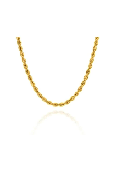 Unisex Burgu Zincir Kolye- Altın Kaplama | A+ Kalite Alaşım | 60 Cm Zincir ürün görseli 1