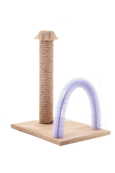 BYPET Kedi Kaşıma Ve Tırmalama Tahtası Lila - Resim 2