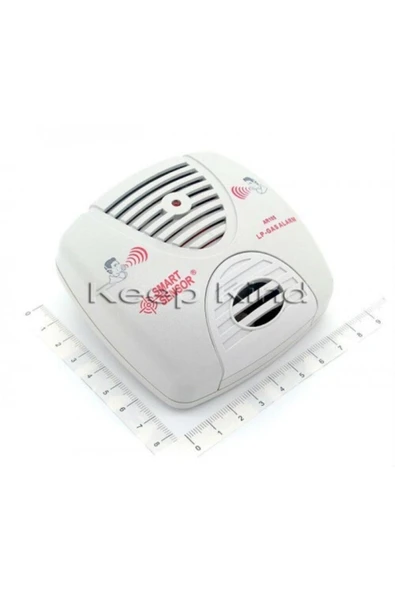 RICHIE Gaz Alarmı Güvenlik Için Alarm Sistemi Gaz Alarm - Resim 2