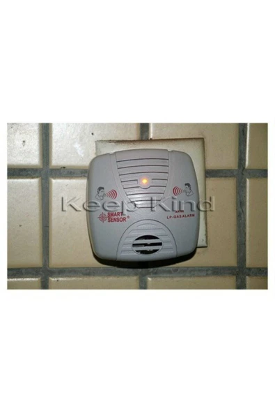 RICHIE Gaz Alarmı Güvenlik Için Alarm Sistemi Gaz Alarm - Resim 4