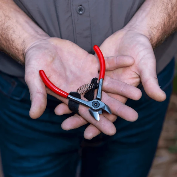 330 MEYVE HASAT MAKASI - Resim 7