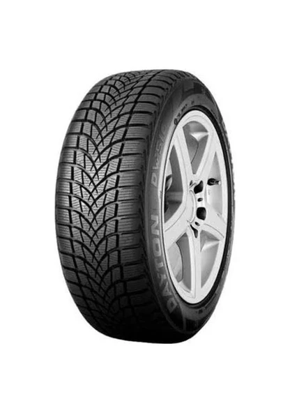 Dayton DW510 Evo 205/55 R16 91H Kış Lastiği - 2025 - 1