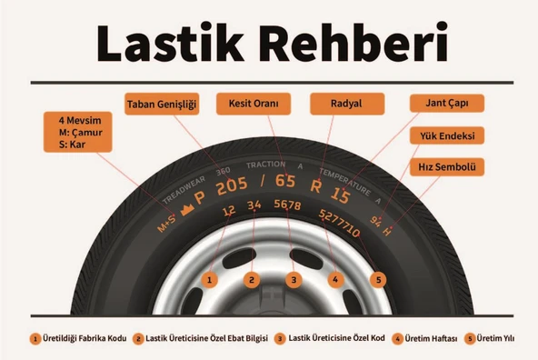 Dayton DW510 Evo 205/55 R16 91H Kış Lastiği - 2025 - 2