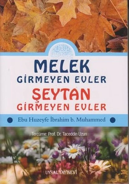 Melek Girmeyen Evler - Şeytan Girmeyen Evler ürün görseli