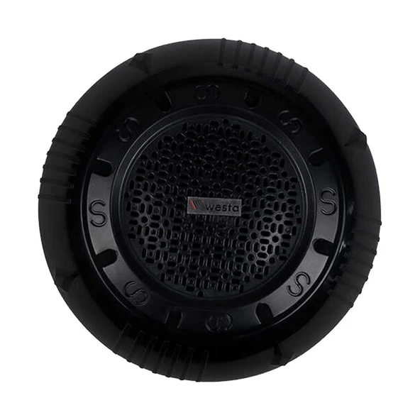 Westa WS-1119TB 13 Cm Sıva Üstü Siyah Tavan Hoparlör ürün görseli 1