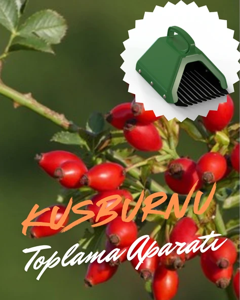 Blue Berry , Aronya , Kuşburnu , Alıç Ve Meyve  Toplama Tarağı Plastik Bsr Garden - Resim 3