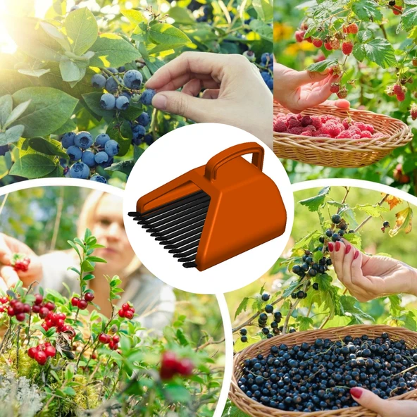 Blue Berry , Aronya , Kuşburnu , Alıç Ve Meyve  Toplama Tarağı Plastik Bsr Garden - Resim 4
