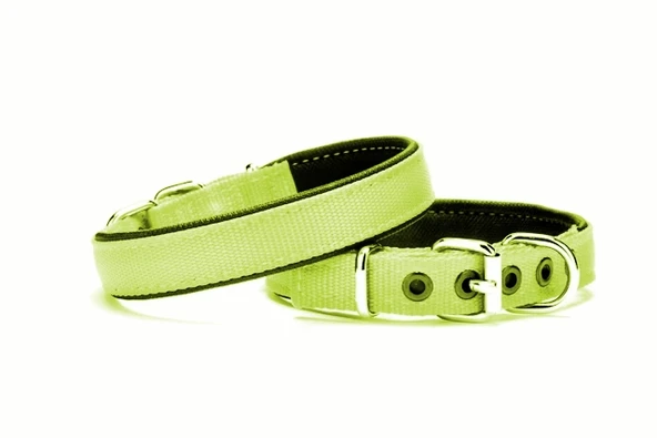 Yumuşak Doku Köpek Boyun Tasması 2/45 cm Yeşil - 1