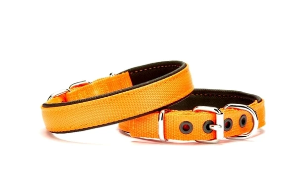 Yumuşak Doku Köpek Boyun Tasması 1,5/35 cm Turuncu ürün görseli 1