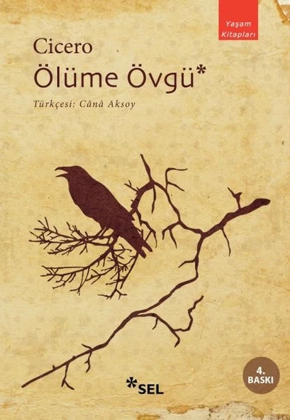 Ölüme Övgü ürün görseli