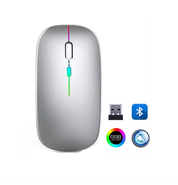 ZR215 Cba100 Rgb Gümüş Şarjlı Mouse - 1