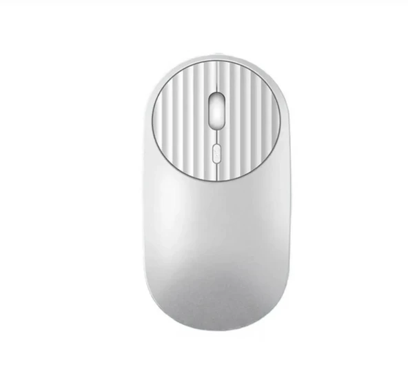 ZR613 Gümüş Ergonomik Mouse - 1