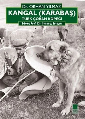 Kangal (Karabaş) Türk Çoban Köpeği ürün görseli