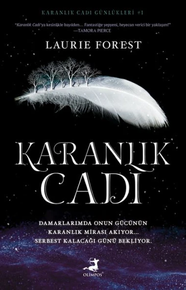 Karanlık Cadı ürün görseli