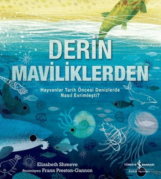 Derin Maviliklerden ürün görseli