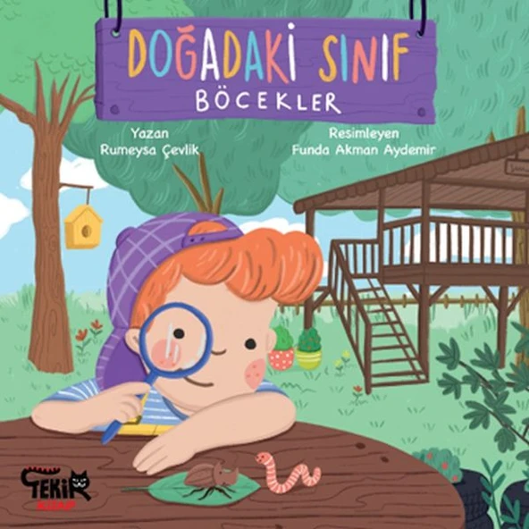 Doğadaki Sınıf- Böcekler ürün görseli
