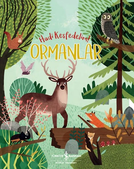 Ormanlar - Hadi Keşfedelim! ürün görseli